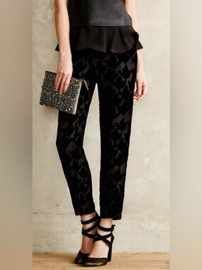 NWT Harlyn Ankle Velvet Burnout Joggers Pants - Size 4